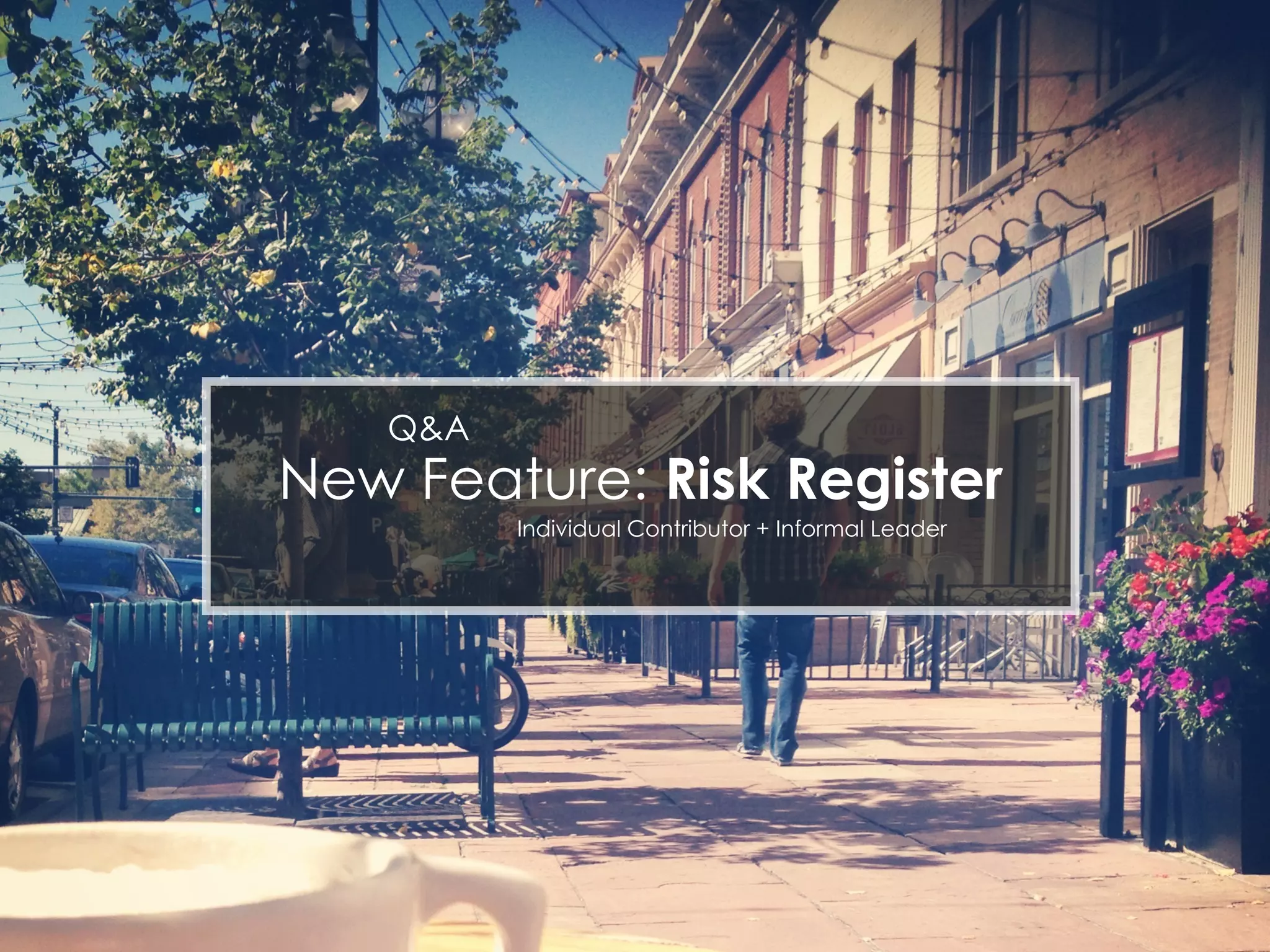 www.SkyeSant.com
New Feature: Risk Register
Individual Contributor + Informal Leader
Q&A
 