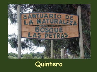 Quintero 
