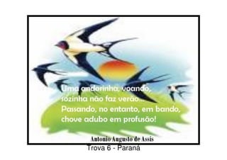 Trova 6 - Paraná
 