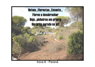 trova 8 - Paraná
 