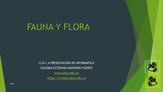 U.D.C.A PRESENTACIÓN DE INFORMATICA
ZULEIMA ESTEFANIA MONTAÑO FUERTE
www.udca.edu.co
https://virtual.udca.edu.co
FAUNA Y FLORA
UDCA 1
 