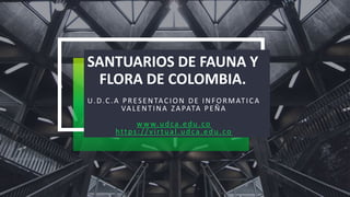 SANTUARIOS DE FAUNA Y
FLORA DE COLOMBIA.
U.D.C.A PRESENTACION DE INFORMATICA
VALENTINA ZAPATA PEÑA
www.udca.edu.co
https://virtual.udca.edu.co
 