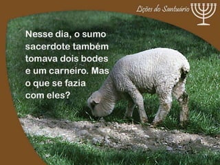 Santuário    a redenção em símbolos