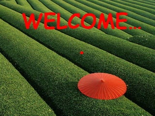 WELCOME…
.
 
