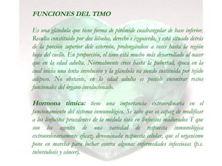 FUNCIONES DEL TIMO
Es una glándula que tiene forma de pirámide cuadrangular de base inferior.
Resulta constituido por dos lóbulos, derecho e izquierdo, y está situado detrás
de la porción superior dele esternón, prolongándose a veces hasta la región
baja del cuello. En proporción, el timo está mucho más desarrollado al nacer
que en la edad adulta. Normalmente crece hasta la pubertad, época en la
cual inicia una lenta involución y la glándula va siendo sustituida por tejido
adiposo. No obstante, en la edad adulta es posible encontrar restos
funcionales del órgano involucionado.
Hormona tímica: tiene una importancia extraordinaria en el
funcionamiento del sistema inmunológico. Se sabe que es capaz de modificar
a los linfocitos procedentes de la médula ósea en linfocitos madurados T que
son los agentes de una variedad de respuesta inmunológica
extraordinariamente eficaz, denominada respuesta celular, que el organismo
pone en marcha para luchar contra algunas enfermedades infecciosas (p.e.
tuberculosis y cáncer).
 