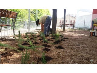 Treballs de jardineria al parc de San Vicent