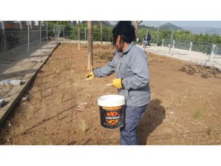 Treballs de jardineria al parc de San Vicent