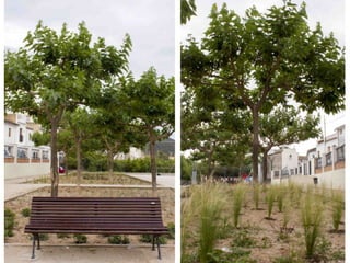 Treballs de jardineria al parc de San Vicent