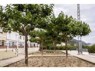 Treballs de jardineria al parc de San Vicent