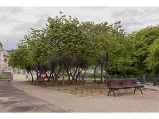 Treballs de jardineria al parc de San Vicent