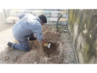 Treballs de jardineria al parc de San Vicent