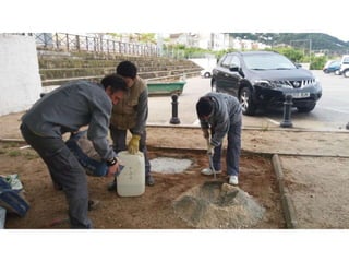 Treballs de jardineria al parc de San Vicent