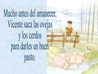 Mucho antes del amanecer, Vicente saca las ovejas y los cerdos para darles un buen  pasto. 