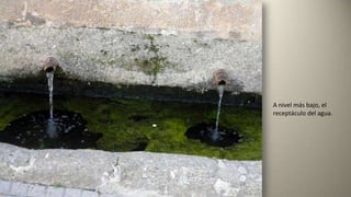 A nivel más bajo, el
receptáculo del agua.
 