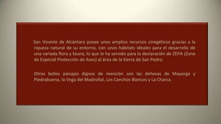 San Vicente de Alcántara posee unos amplios recursos cinegéticos gracias a la
riqueza natural de su entorno, con unos hábitats ideales para el desarrollo de
una variada flora y fauna, lo que le ha servido para la declaración de ZEPA (Zona
de Especial Protección de Aves) al área de la Sierra de San Pedro.
Otros bellos paisajes dignos de mención son las dehesas de Mayorga y
Piedrabuena, la Vega del Madroñal, Los Canchos Blancos y La Charca.
 