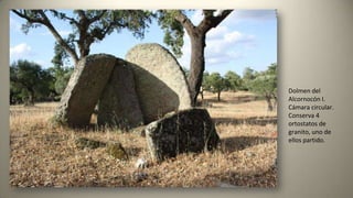 Dolmen del
Alcornocón I.
Cámara circular.
Conserva 4
ortostatos de
granito, uno de
ellos partido.
 