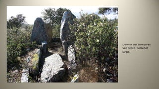 Dolmen del Torrico de
San Pedro. Corredor
largo.
 