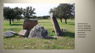 Dolmen de La
Galana, Mayorga.
Cámara poligonal.
Actualmente muy
destruido.
Conserva 5
ortostatos.
 