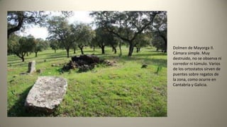 Dolmen de Mayorga II.
Cámara simple. Muy
destruido, no se observa ni
corredor ni túmulo. Varios
de los ortostatos sirven de
puentes sobre regatos de
la zona, como ocurre en
Cantabria y Galicia.
 