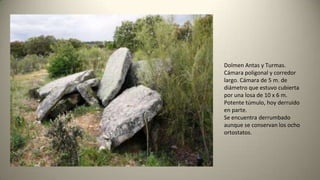 Dolmen Antas y Turmas.
Cámara poligonal y corredor
largo. Cámara de 5 m. de
diámetro que estuvo cubierta
por una losa de 10 x 6 m.
Potente túmulo, hoy derruido
en parte.
Se encuentra derrumbado
aunque se conservan los ocho
ortostatos.
 