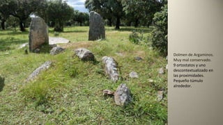 Dolmen de Argaminos.
Muy mal conservado.
9 ortostatos y uno
descontextualizado en
las proximidades.
Pequeño túmulo
alrededor.
 