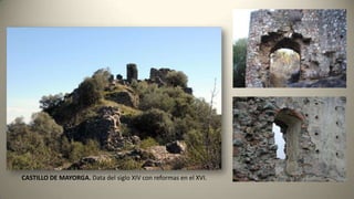 CASTILLO DE MAYORGA. Data del siglo XIV con reformas en el XVI.
 