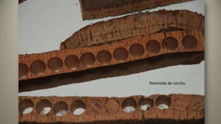 Rebanada de corcho.
 