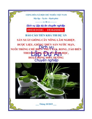 CỘNG HÒA XÃ HỘI CHỦ NGHĨA VIỆT NAM
Độc lập – Tự do – Hạnh phúc
-----------    ----------
BÁO CÁO TIỀN KHẢ THI DỰ ÁN
SẢN...