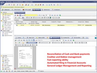 Sanyiko ERP Revenue Collection System | PPT