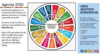 Agenda 2030
Compromiso global con la
erradicación del hambre y la
pobreza extrema y el manejo
sostenible de los RN.
Al menos 10 de los ODS se
enfocan en los ámbitos de la
SAN, RN y CC.
De los 231 indicadores de los
ODS, hay 50 relacionados
con la alimentación y la
agricultura y 21 bajo
custodia de FAO (FAO,
2016).
 