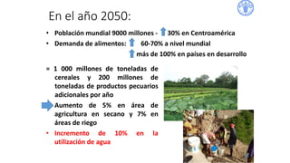 En el año 2050:
• Población mundial 9000 millones - 30% en Centroamérica
• Demanda de alimentos: 60-70% a nivel mundial
más de 100% en países en desarrollo
= 1 000 millones de toneladas de
cereales y 200 millones de
toneladas de productos pecuarios
adicionales por año
• Aumento de 5% en área de
agricultura en secano y 7% en
áreas de riego
• Incremento de 10% en la
utilización de agua
 
