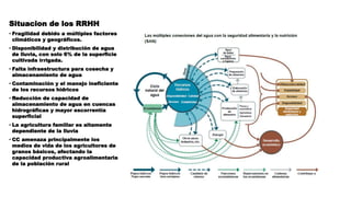 PAPEL DEL AGUA Y LA SEGURIDAD ALIMENTARIA
Situacion de los RRHH
• Fragilidad debido a múltiples factores
climáticos y geográficos.
• Disponibilidad y distribución de agua
de lluvia, con solo 6% de la superficie
cultivada irrigada.
• Falta infraestructura para cosecha y
almacenamiento de agua
• Contaminación y el manejo ineficiente
de los recursos hídricos
• Reducción de capacidad de
almacenamiento de agua en cuencas
hidrográficas y mayor escorrentía
superficial
• La agricultura familiar es altamente
dependiente de la lluvia
• CC amenaza principalmente los
medios de vida de los agricultores de
granos básicos, afectando la
capacidad productiva agroalimentaria
de la población rural
 