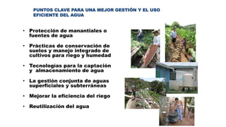PUNTOS CLAVE PARA UNA MEJOR GESTIÓN Y EL USO
EFICIENTE DEL AGUA
• Protección de manantiales o
fuentes de agua
• Prácticas de conservación de
suelos y manejo integrado de
cultivos para riego y humedad
• Tecnologías para la captación
y almacenamiento de agua
• La gestión conjunta de aguas
superficiales y subterráneas
• Mejorar la eficiencia del riego
• Reutilización del agua
 