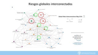 Riesgos globales interconectados
 