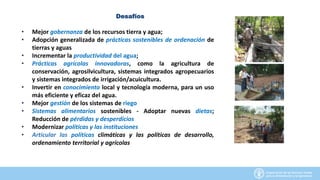 Desafíos
• Mejor gobernanza de los recursos tierra y agua;
• Adopción generalizada de prácticas sostenibles de ordenación de
tierras y aguas
• Incrementar la productividad del agua;
• Prácticas agrícolas innovadoras, como la agricultura de
conservación, agrosilvicultura, sistemas integrados agropecuarios
y sistemas integrados de irrigación/acuicultura.
• Invertir en conocimiento local y tecnología moderna, para un uso
más eficiente y eficaz del agua.
• Mejor gestión de los sistemas de riego
• Sistemas alimentarios sostenibles - Adoptar nuevas dietas;
Reducción de pérdidas y desperdicios
• Modernizar políticas y las instituciones
• Articular las políticas climáticas y las políticas de desarrollo,
ordenamiento territorial y agrícolas
 