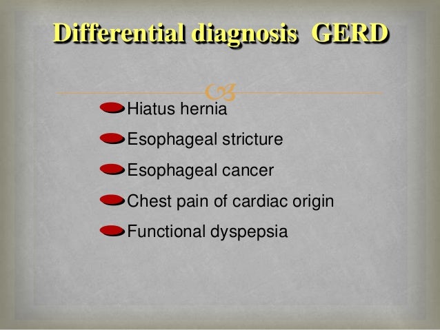 Referrat Gerd referrat gerd