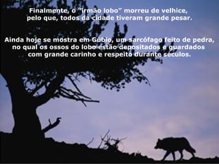 Finalmente, o “irmão lobo” morreu de velhice,
      pelo que, todos da cidade tiveram grande pesar.


Ainda hoje se mostra em Gúbio, um sarcófago feito de pedra,
  no qual os ossos do lobo estão depositados e guardados
      com grande carinho e respeito durante séculos.
 