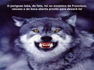 O perigoso lobo, de fato, foi ao encontro de Francisco,
   raivoso e de boca aberta pronto para devorá-lo!
 