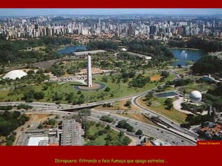 Ibirapuera: filtrando a feia fumaça que apaga estrelas... Parque Ibirapuera 