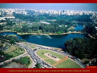... e onde os deuses da chuva, de garoa em garoa, criaram um oásis em meio à selva de concreto. Parque Ibirapuera Foto  Christian   Knepper  