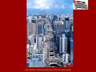 Aqui reside a força da grana que  constrói  coisas belas. Av. Paulista Foto  Jefferson Pancier i 