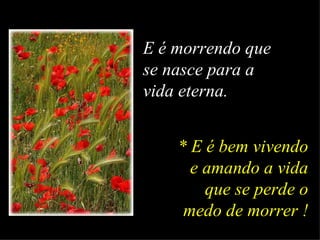 E é morrendo que se nasce para a vida eterna. * E é bem vivendo e amando  a  vida que se perde o medo de morrer ! 