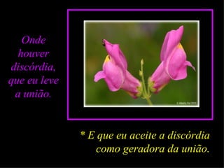 Onde houver discórdia, que eu leve a união. * E que eu aceite a discórdia como geradora da união. 