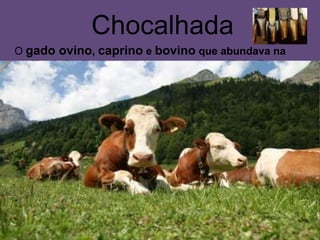 Chocalhada
O gado ovino, caprino e bovino que abundava na
região de Loriga noutros tempos, usava a "loiça"
(chocalhos e campainhas) para anunciar a sua presença
e para indicar ao pastor por onde andava, quando algum
se perdia.
 