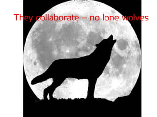 They collaborate – no lone wolves
 