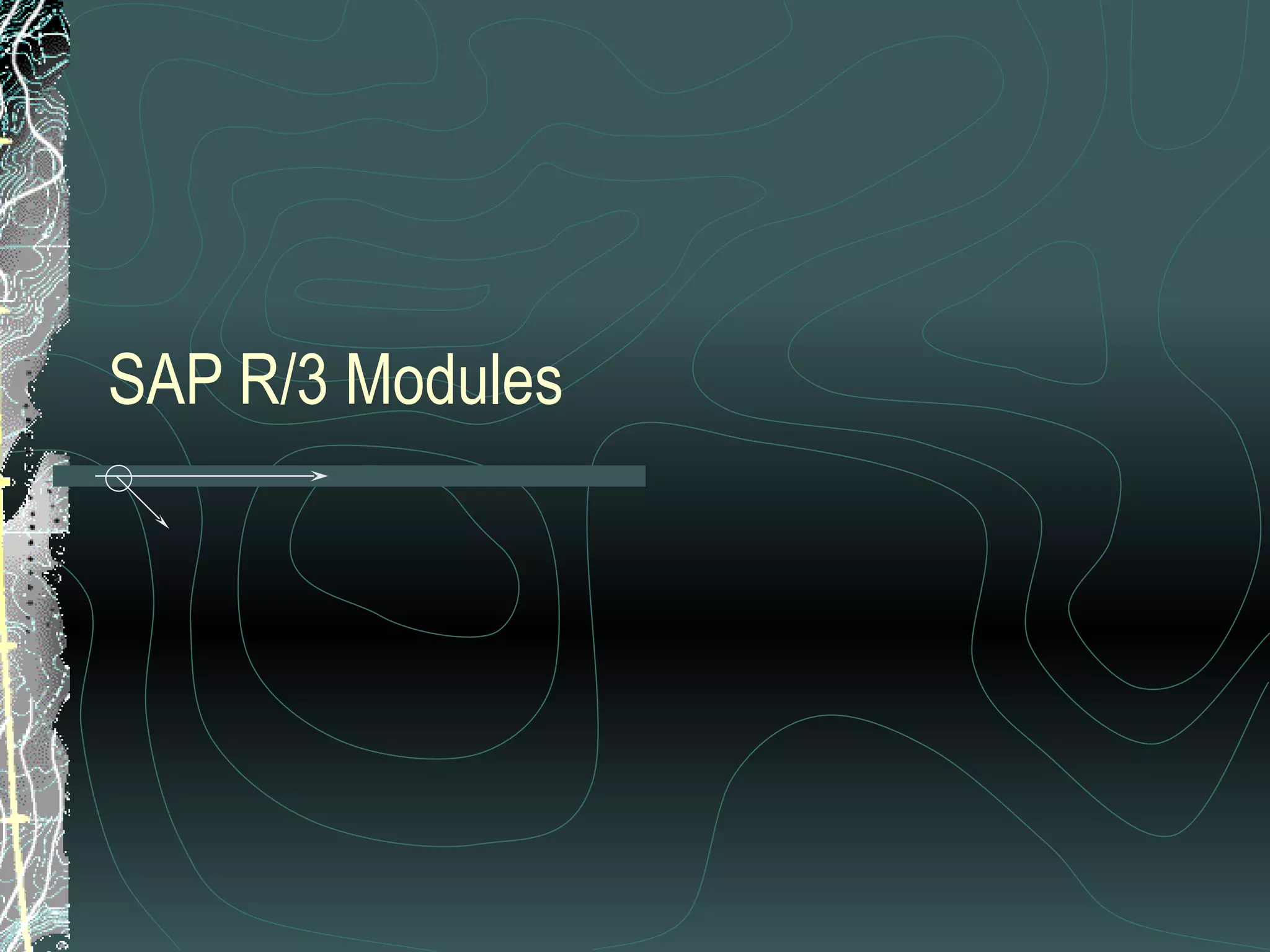 SAP R/3 Modules 