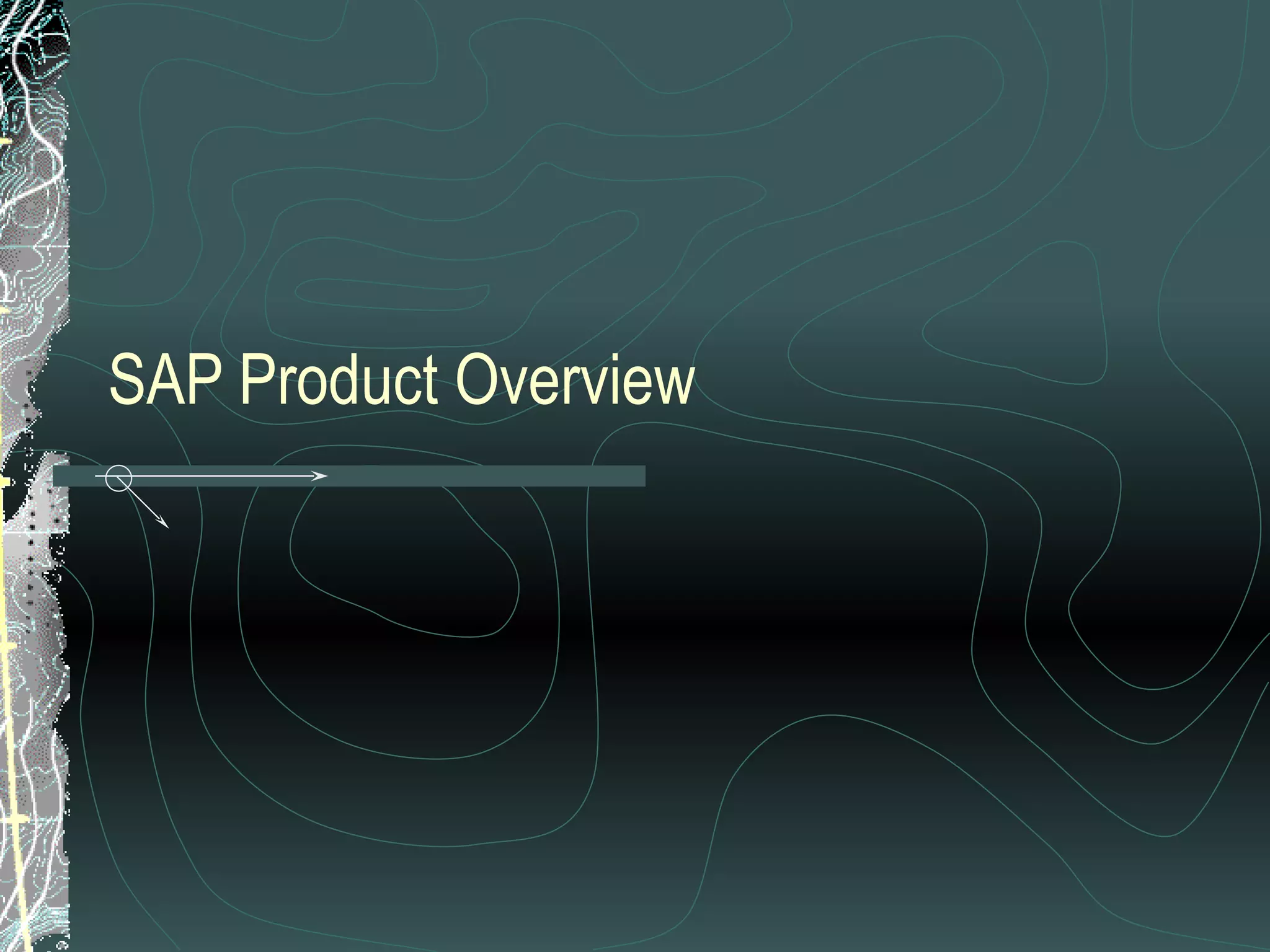 SAP Product Overview 