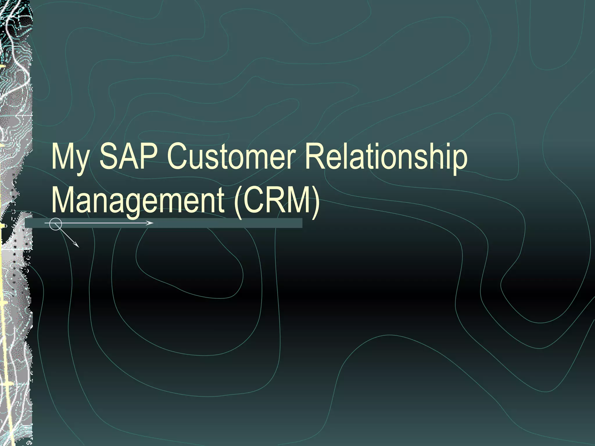 My SAP Customer Relationship Management (CRM) 