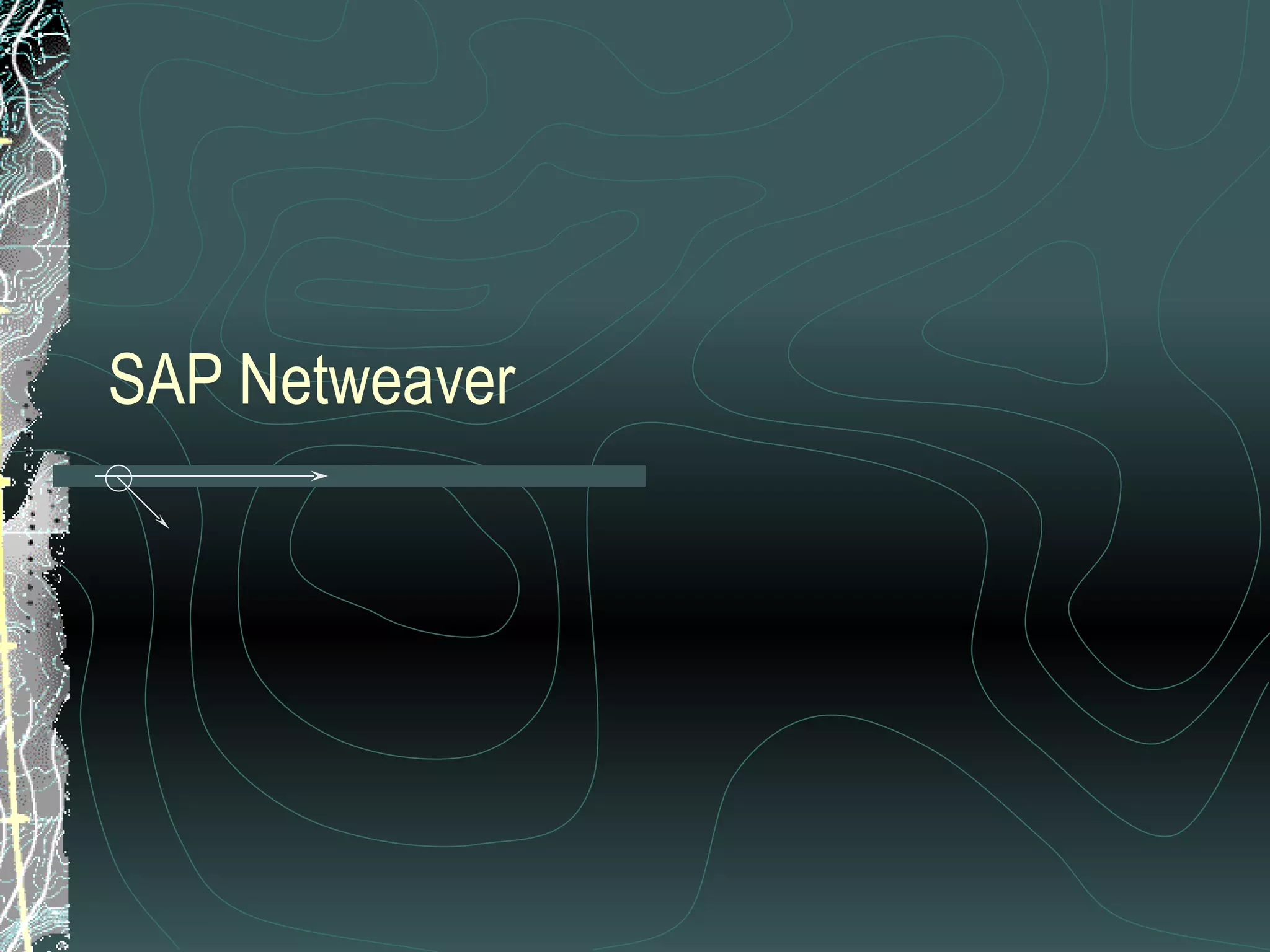 SAP Netweaver  