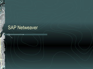 SAP Netweaver  